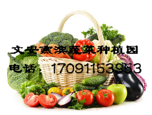 �����߲�