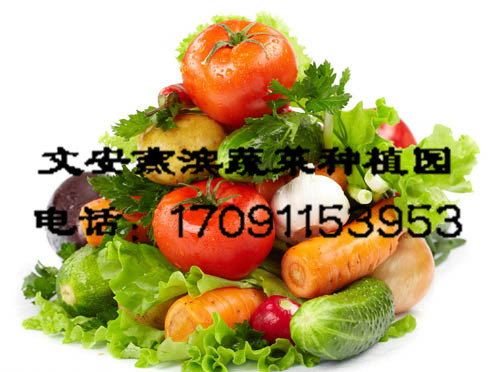 �����߲�