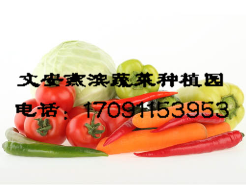 �����߲�