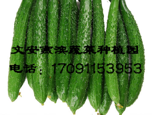 �����߲�