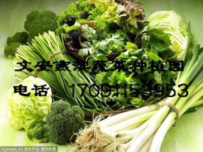 �����߲�