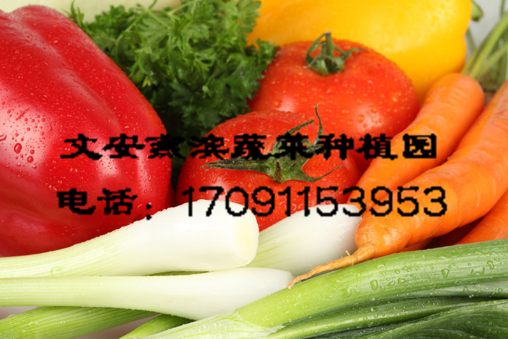 �����߲�